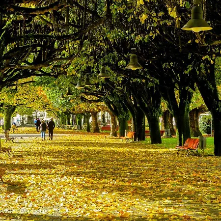T1 Centro Da Cidade Com Lareira *